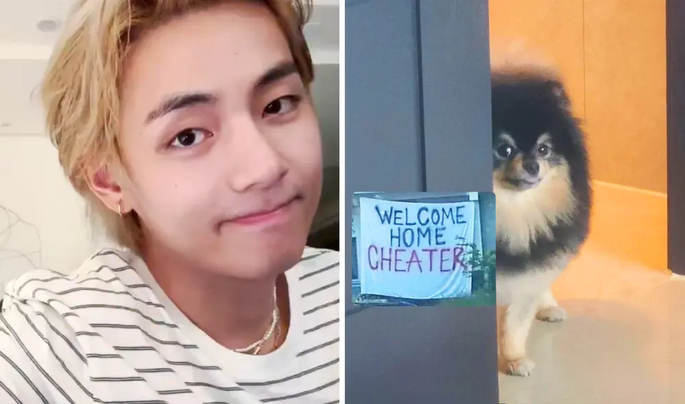 Taehyung, idol de BTS, dedica parte de su álbum 'Layover' a su fiel peludo Yeontan. Foto: composición LR/Hybe/X