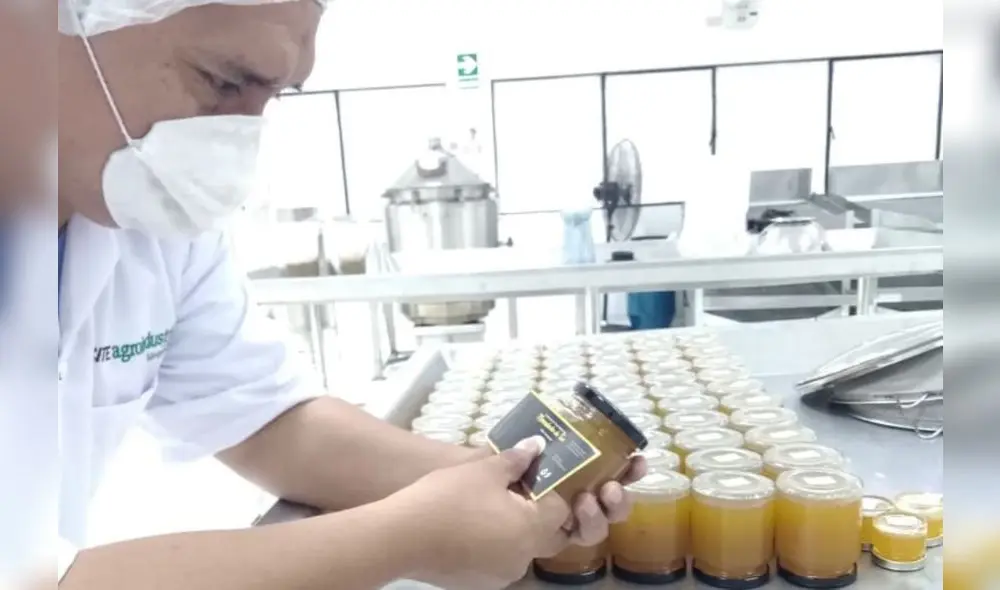 En esta segunda edición del PAI, que realizó tres convocatorias entre 2021 y 2023, se beneficiará a más de 150 empresas.