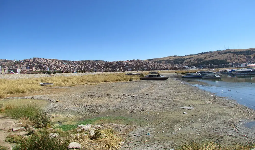 El lago Titicaca se convierte en una extensa orilla, el agua dulce ha comenzado a retirarse 20 metros por la falta de lluvias. Foto: La República El lago Titicaca se convierte en una extensa orilla, el agua dulce ha comenzado a retirarse 20 metros por la falta de lluvias. Foto: La República