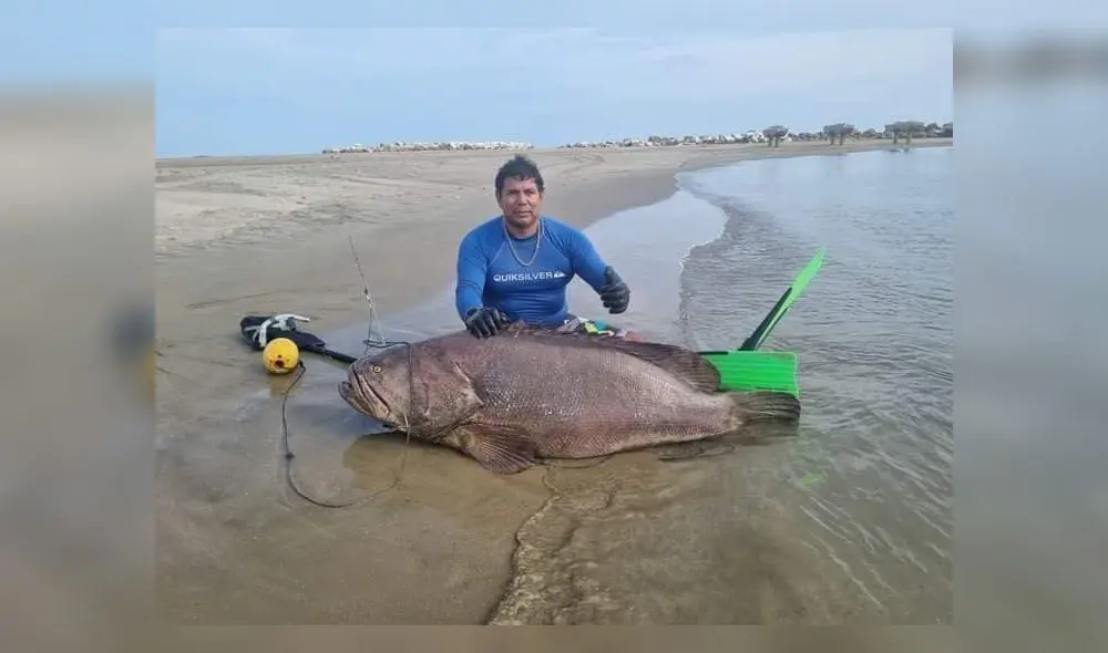 Esta pesca sorprendió a muchos en las redes sociales. Foto: difusión