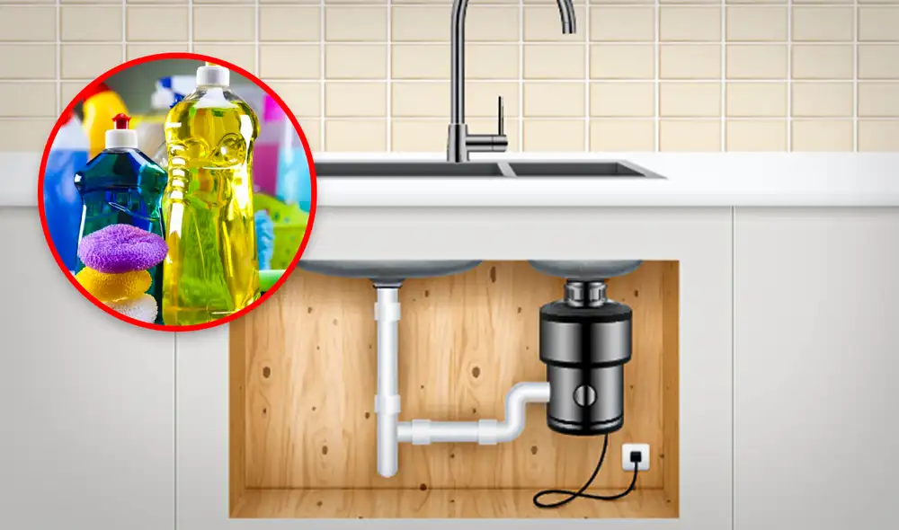 Estos son los 5 productos que debes evitar guardar bajo el fregadero. Foto: composición LR/difusión Estos son los 5 productos que debes evitar guardar bajo el fregadero. Foto: composición LR/difusión