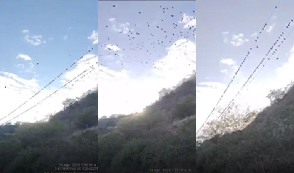 Los ciudadanos de los lugares afectados solicitaron la presencia de Enosa para restablecer el servicio. Foto: composición LR/Dtumbes Noticias - Video: Dtumbes Noticias Los ciudadanos de los lugares afectados solicitaron la presencia de Enosa para restablecer el servicio. Foto: composición LR/Dtumbes Noticias - Video: Dtumbes Noticias
