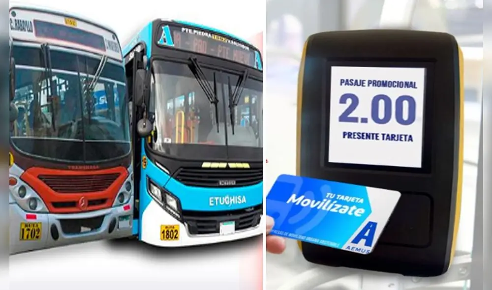 La tarjeta inteligente es de plástico PVC y tiene una vida útil de 3 a 5 años. Foto: Aemus