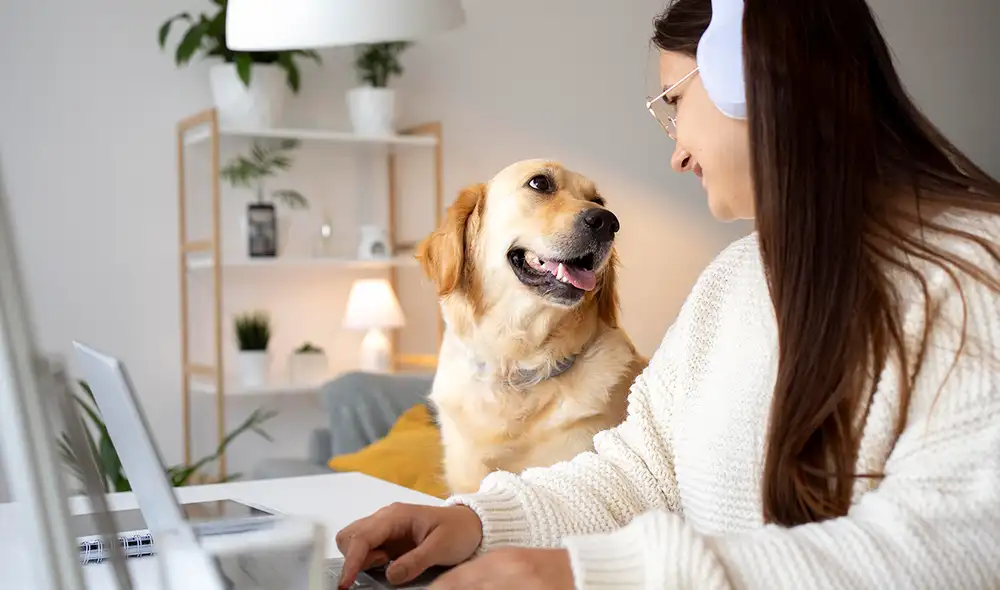 Desde tiempos remotos, los humanos tratan de comunicarse con los animales. Foto: Pexels