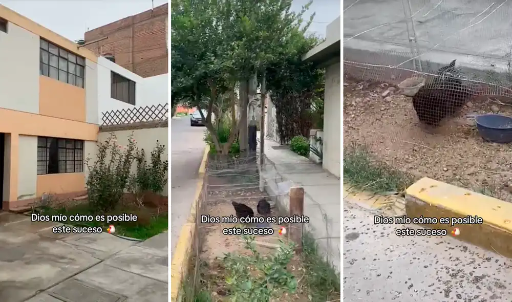 Las imágenes sacaron más de una sonrisa en redes. Foto: composición LR/@Luugomezt/TikTok