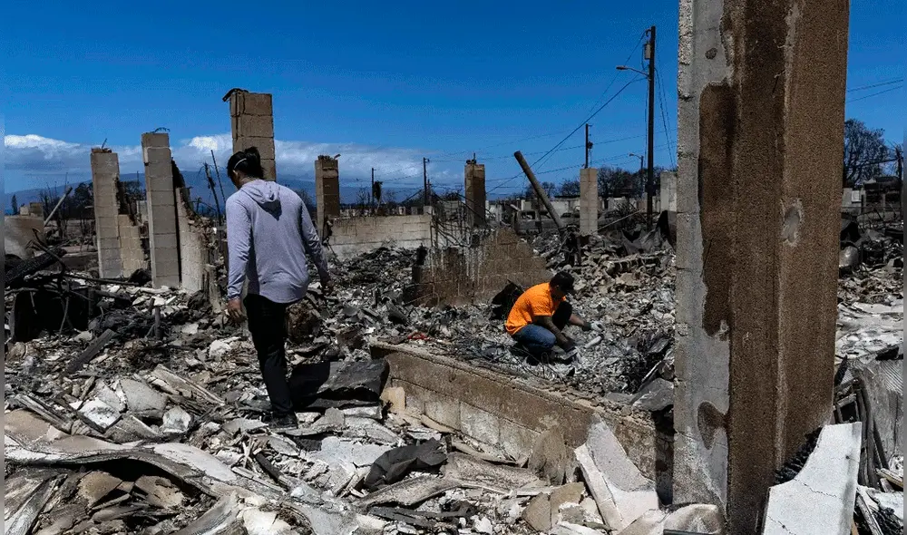 En las labores de rescate en Hawái colaboran sobre el terreno más de 600 especialistas federales. Foto: EFE - Video: AFP