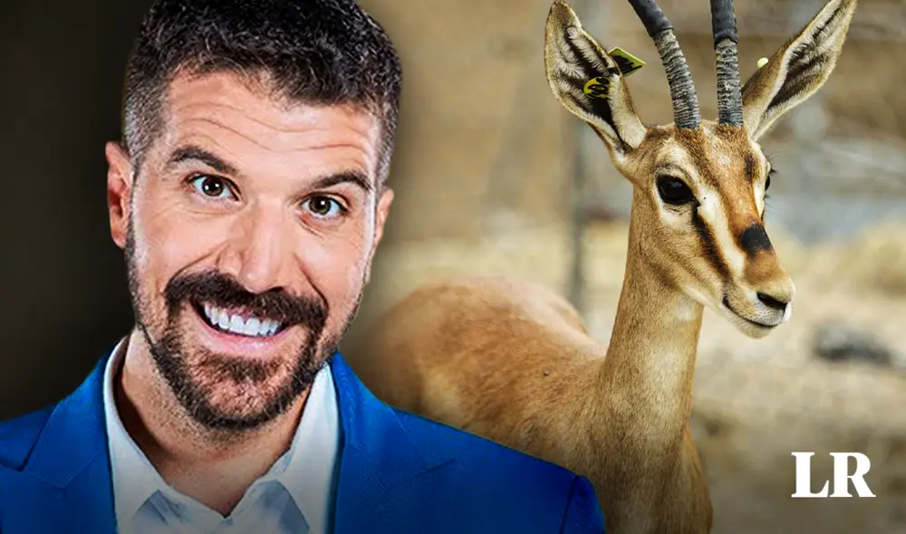 José Peláez es recordado por sus fanáticos como 'gacela' por su afición a un deporte.  Foto: composición de Jazmín Ceras/La República/Latina/Joan Costa/ CSIC