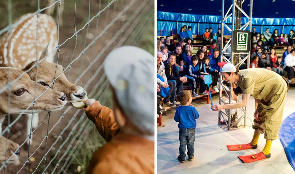 El Día del Niño se celebra el próximo domingo 20 de agosto. Foto. composición LR/ ipekk/ Freelok El Día del Niño se celebra el próximo domingo 20 de agosto. Foto. composición LR/ ipekk/ Freelok