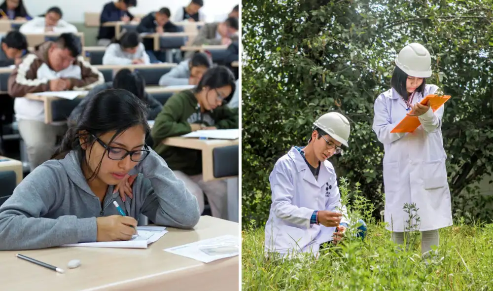 Las carreras con mayor proyección a futuro se vinculan con temas de medioambiente y comercio digital. Foto: composición LR/Universidad Nacional José María Arguedas/Andina