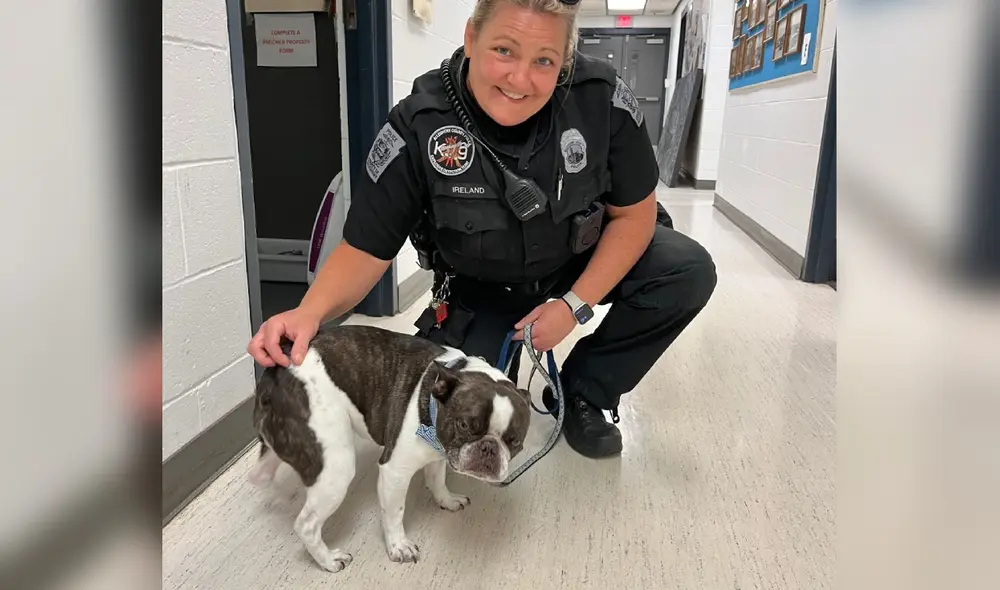 Perro de 7 años fue abandonado por su propietaria en un aeropuerto de Pittsburgh, Estados Unidos. Foto: Facebook / Allegheny County PD Perro de 7 años fue abandonado por su propietaria en un aeropuerto de Pittsburgh, Estados Unidos. Foto: Facebook / Allegheny County PD