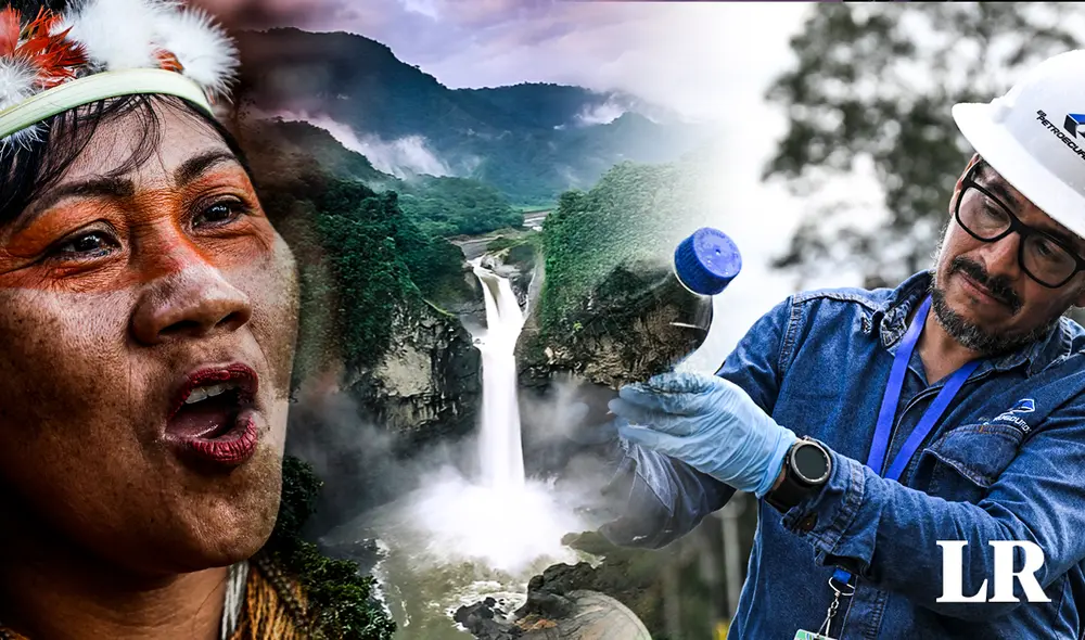 El Parque Nacional de Yasuní es el corazón de la Amazonía ecuatoriana y uno de los puntos de biodiversidad más importantes del mundo. Foto: composición de Fabrizio Oviedo/La República/AFP El Parque Nacional de Yasuní es el corazón de la Amazonía ecuatoriana y uno de los puntos de biodiversidad más importantes del mundo. Foto: composición de Fabrizio Oviedo/La República/AFP