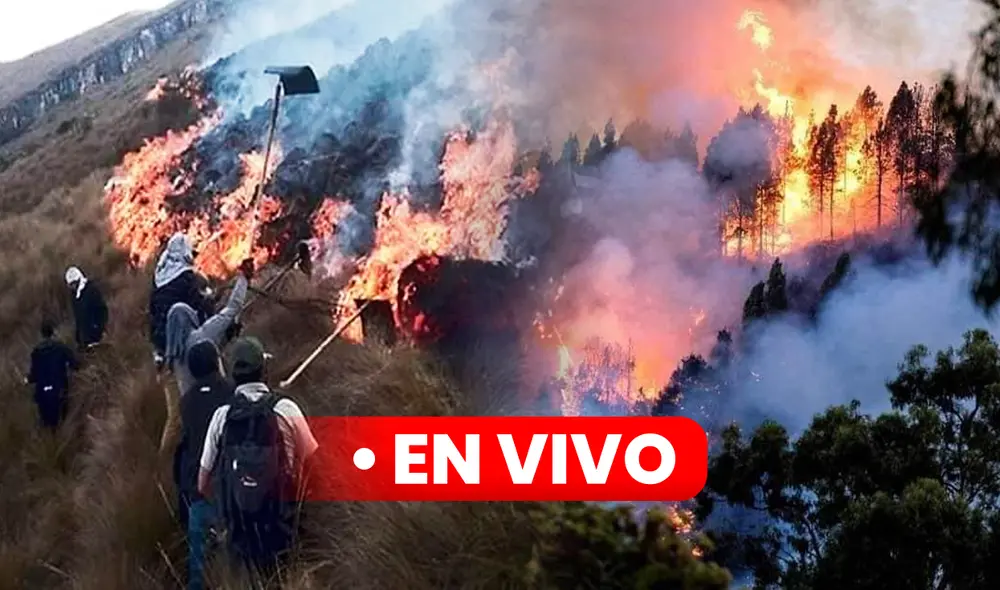 Incendio forestal en Apurímac. Foto: composición LR/Jazmin Ceras Incendio forestal en Apurímac. Foto: composición LR/Jazmin Ceras