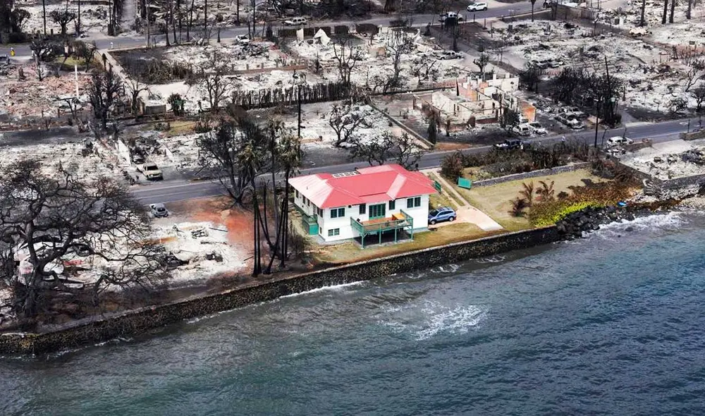Trip Millikin dijo que se sorprendió cuando descubrió que su casa había sobrevivido al incendio casi completament. Foto: Kevin Fujii/Civil Beat/ Trip Millikin dijo que se sorprendió cuando descubrió que su casa había sobrevivido al incendio casi completament. Foto: Kevin Fujii/Civil Beat/