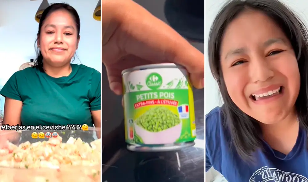 Los usuarios dejaron sus respectivos comentarios ante el suceso. Foto: composición LR/TikTok/@brighitteva