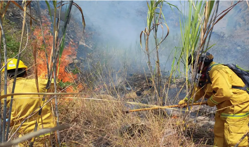 El fuego comenzó en la zona de amortiguamiento del Santuario de Machupicchu. Foto: La República El fuego comenzó en la zona de amortiguamiento del Santuario de Machupicchu. Foto: La República