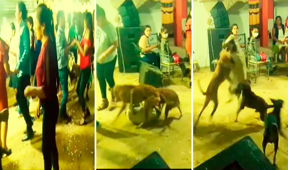 Los usuarios dejaron sus divertidos comentarios. Foto: composición LR/TikTok/@Victorsuarezlocutor