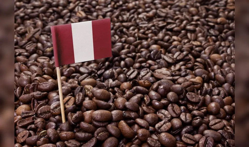El café peruano es la principal fuente de ingresos de alrededor de 255.000 familias. Foto: difusión