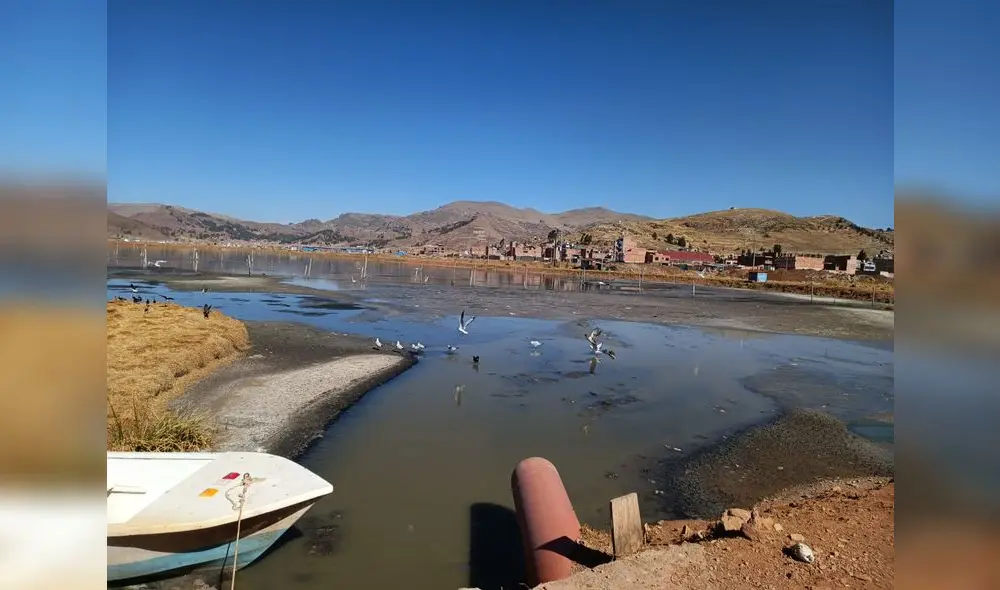 El baño de Puno. El lago Titicaca recibe las aguas servidas de las ciudades situadas a su alrededor. Se trata de un embalse contaminado .