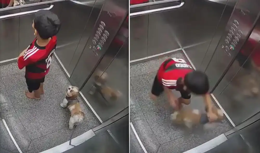 El menor logró descolgar a tiempo a su mascota, que salió ilesa tras quedar su correa enganchada al ascensor. Foto: composición LR/captura/G1 - Video: G1