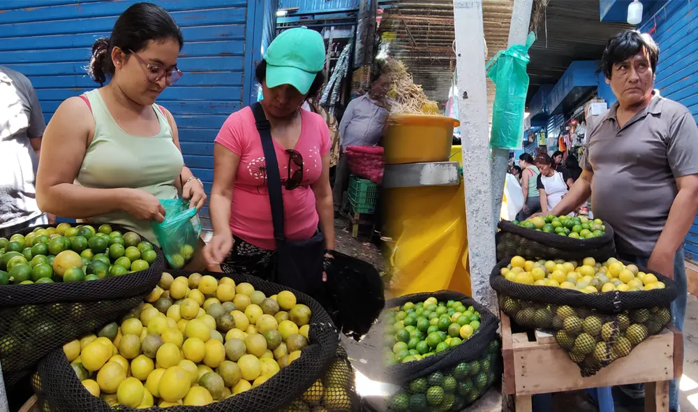 Comerciante reveló que el costo de limón al por mayor aumentó en seis veces. Foto: composición LR/Steffano Trinidad/Emmanuel Moreno/LR - Video: Emmanuel Morneo/LR Comerciante reveló que el costo de limón al por mayor aumentó en seis veces. Foto: composición LR/Steffano Trinidad/Emmanuel Moreno/LR - Video: Emmanuel Morneo/LR