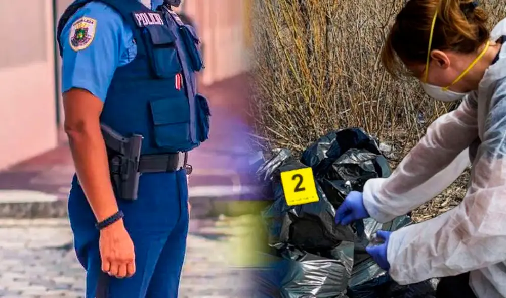 Una osamenta fue reportada en un vertedero de Puerto Rico y autoridades ya averiguaron de cuál tipo se trata. Foto: composición LR/Policía PR/La Silla Rota Una osamenta fue reportada en un vertedero de Puerto Rico y autoridades ya averiguaron de cuál tipo se trata. Foto: composición LR/Policía PR/La Silla Rota