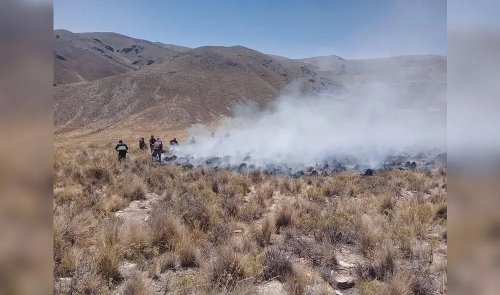 Daños. Incendios forestales han causado graves daños en la flora y fauna de poblados de la región Arequipa. Daños. Incendios forestales han causado graves daños en la flora y fauna de poblados de la región Arequipa.
