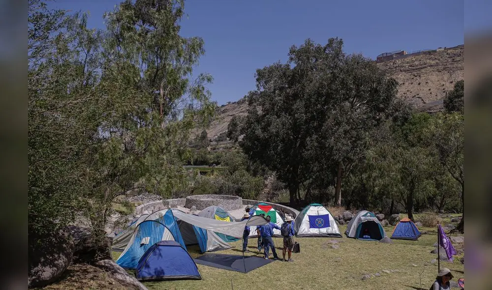 Pulmón. Según proyecto, sería un punto ecológico y turístico para la ciudad. Sería manejado por privados.