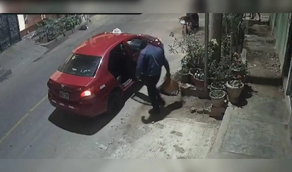 Hombre se llevó 3 macetas con plantas de una casa ajena. Foto y video: Latina