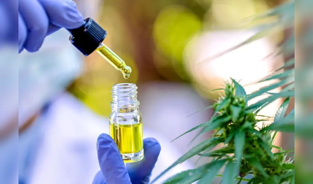 El Ministerio de Salud publicó el nuevo reglamento de la Ley N°.30681, a inicios de año. Foto: Andina