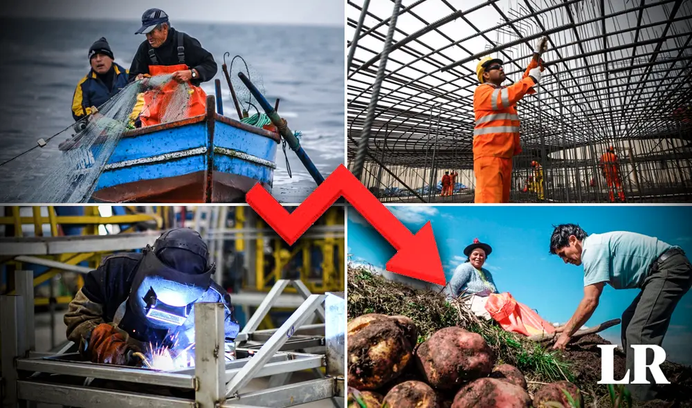 Sector pesca es el que más descenso tendrá al terminar el 2023, según el Marco Macroeconómico Multianual 2024-2027. Foto: ComposiciónLR/Fabrizio Oviedo Sector pesca es el que más descenso tendrá al terminar el 2023, según el Marco Macroeconómico Multianual 2024-2027. Foto: ComposiciónLR/Fabrizio Oviedo