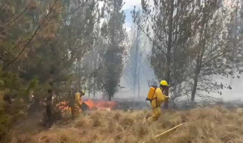 Los incendios forestales perjudican los ecosistemas. Foto: Betzabé Macedo Los incendios forestales perjudican los ecosistemas. Foto: Betzabé Macedo
