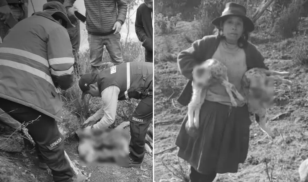 El hecho conmocionó a comuneros de Ocobamba. Foto: composición LR/Municipalidad de Ocobamba/Fuerza Infomativa El hecho conmocionó a comuneros de Ocobamba. Foto: composición LR/Municipalidad de Ocobamba/Fuerza Infomativa