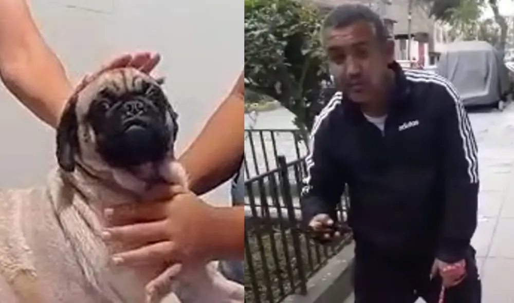 Fiscalía investiga a Alonso Santa Cruz Túpac Yupanqui por atacar a una perrita en La Victoria. Foto: difusión