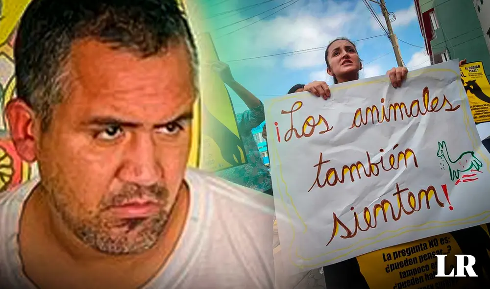 Colectivos en pro de los animales exigen a las autoridades justicia. Foto: composición / Jessica Merino / La República