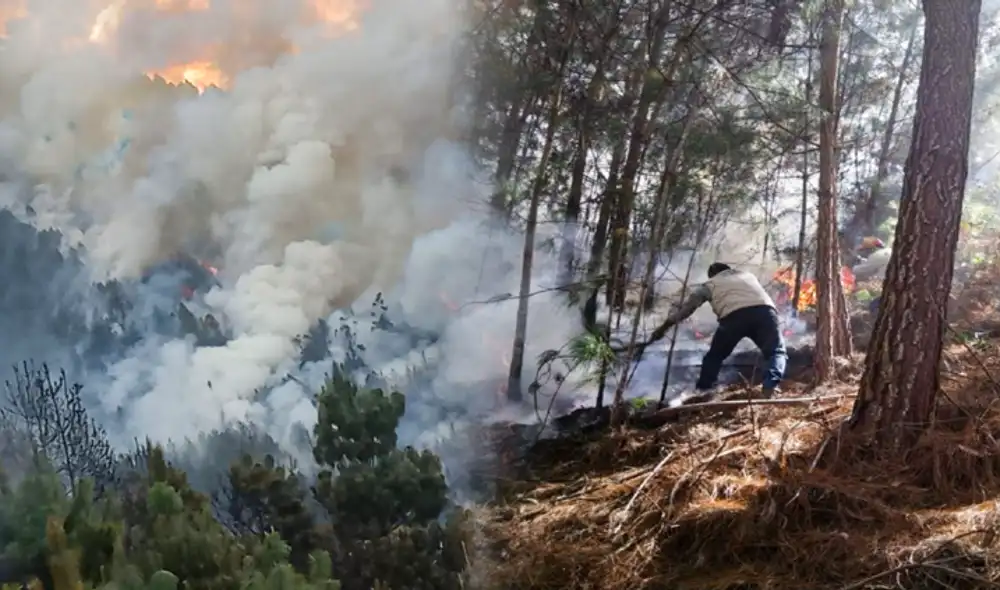 Incendio sigue arrasando cientos de hectáreas de vegetación. Foto:  Facebook Reynaldo Núñez - Video: Andina Radio-Chota