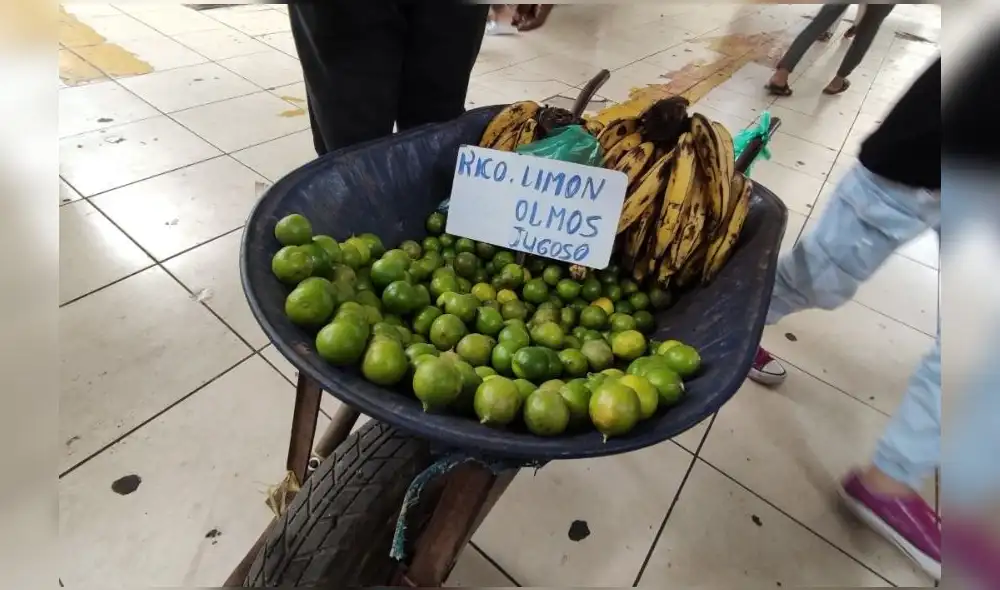 Los precios del limón experimetaron fuertes alzas en agosto. Foto: Emmanuel Moreno / URPI-LR Los precios del limón experimetaron fuertes alzas en agosto. Foto: Emmanuel Moreno / URPI-LR