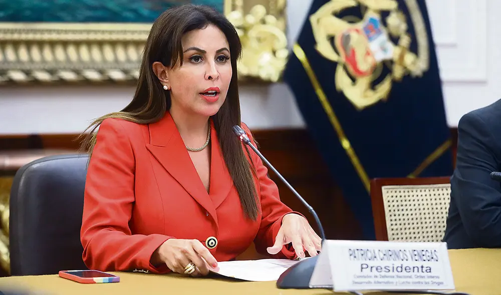 Defiende sus contrataciones. Presidenta de la Comisión de Defensa, Patricia Chirinos, conocida por sus constantes denuncias contra sus oponentes. Foto: difusión