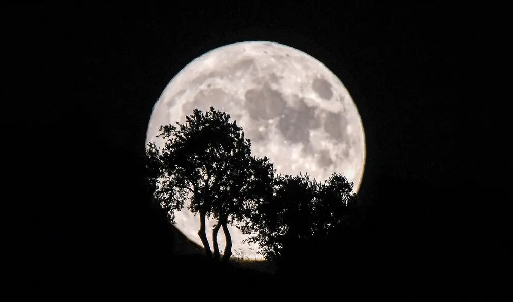Superluna desde el campamento Deir al-Ballut para personas desplazadas en Afrin, norte de Siria. Foto: Rami Al-Sayed/AFP Superluna desde el campamento Deir al-Ballut para personas desplazadas en Afrin, norte de Siria. Foto: Rami Al-Sayed/AFP