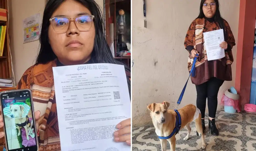 Piden justicia para Molly, perrita que fue abusada sexualmente en Chorrillos. Foto: composición LR/Rosario Rojas/La República - Video: Rosario Rojas/La República Piden justicia para Molly, perrita que fue abusada sexualmente en Chorrillos. Foto: composición LR/Rosario Rojas/La República - Video: Rosario Rojas/La República