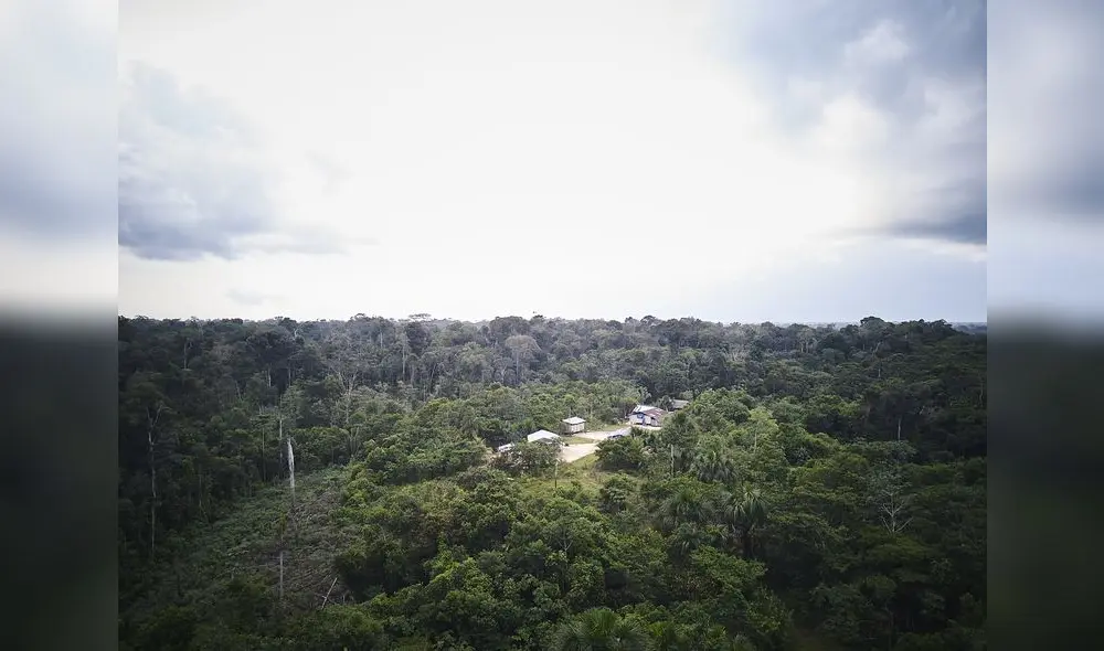 Foto: difusión Foto: difusión