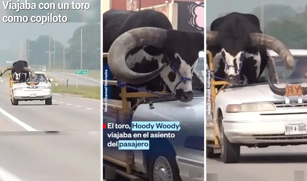 Las imágenes sorprendieron a los usuarios en las redes sociales. Foto: composición LR/News Channel Nebraska