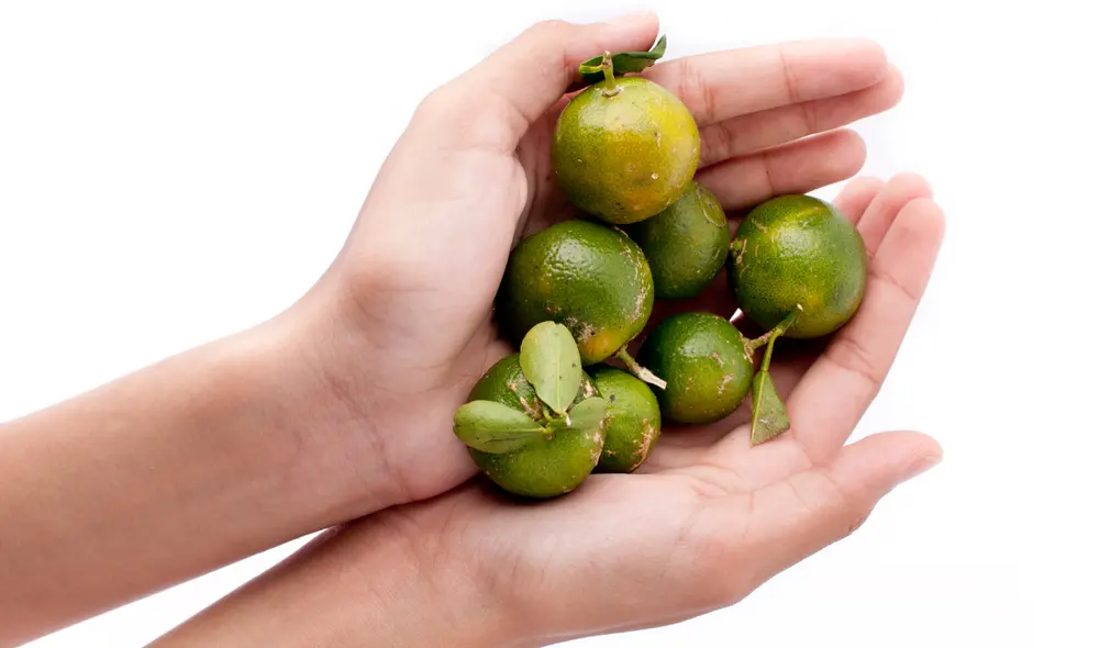 Estos alimentos podran funcionarte en la cocina al igual que el limón. Foto: Canva