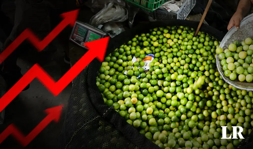 Limón puede llegar a costar S/18 el kilo. Foto: Composición LR/Jazmín Ceras