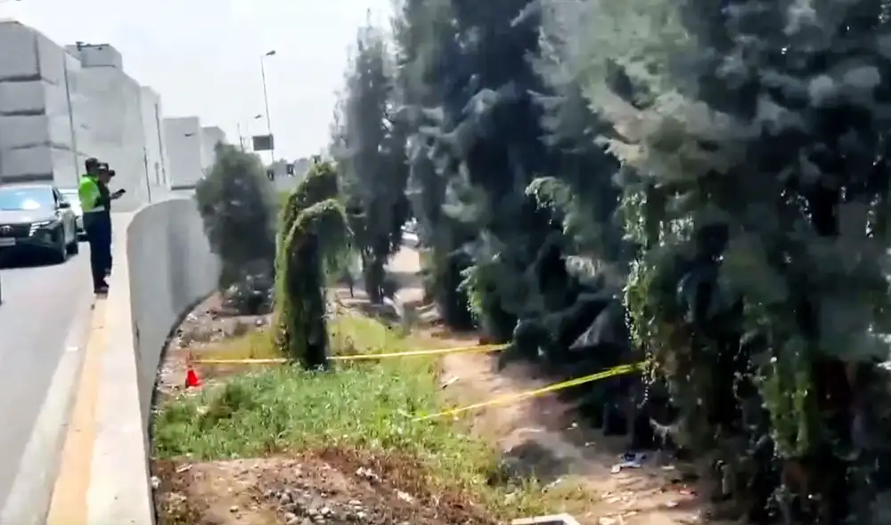 Los trabajadores municipales que laboran en la zona refieren que indigentes transitan por los matorrales. Foto: captura Canal N