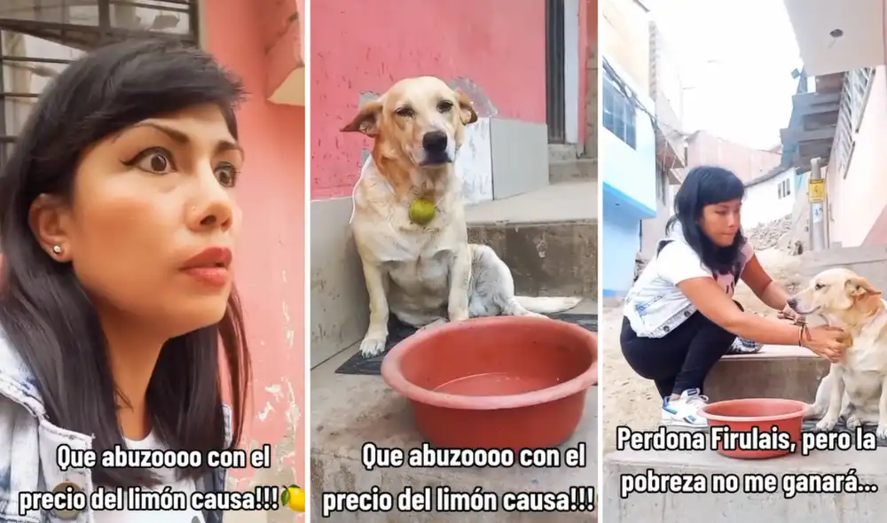 Los usuarios dejaron diversos comentarios en la plataforma china. Foto: composición LR/TikTok/@lizroxanamorales