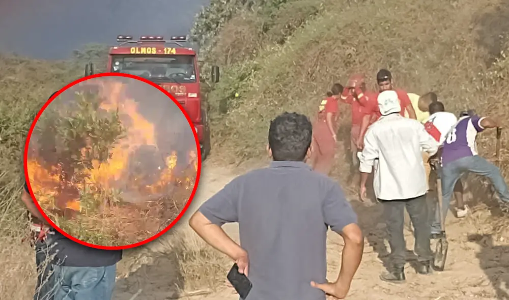 Los bomberos no pudieron ingresar a la zona afectada y el fuego sigue consumiendo la flora y fauna. Foto: composición LR Alvaro Lozano Los bomberos no pudieron ingresar a la zona afectada y el fuego sigue consumiendo la flora y fauna. Foto: composición LR Alvaro Lozano