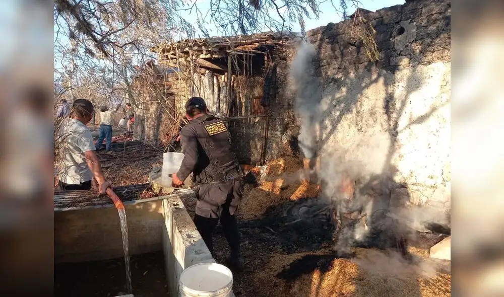 Cientos de hectáreas de bosques se están viendo afectadas. Foto: Municipalidad Provincial de Santa Cruz Cientos de hectáreas de bosques se están viendo afectadas. Foto: Municipalidad Provincial de Santa Cruz