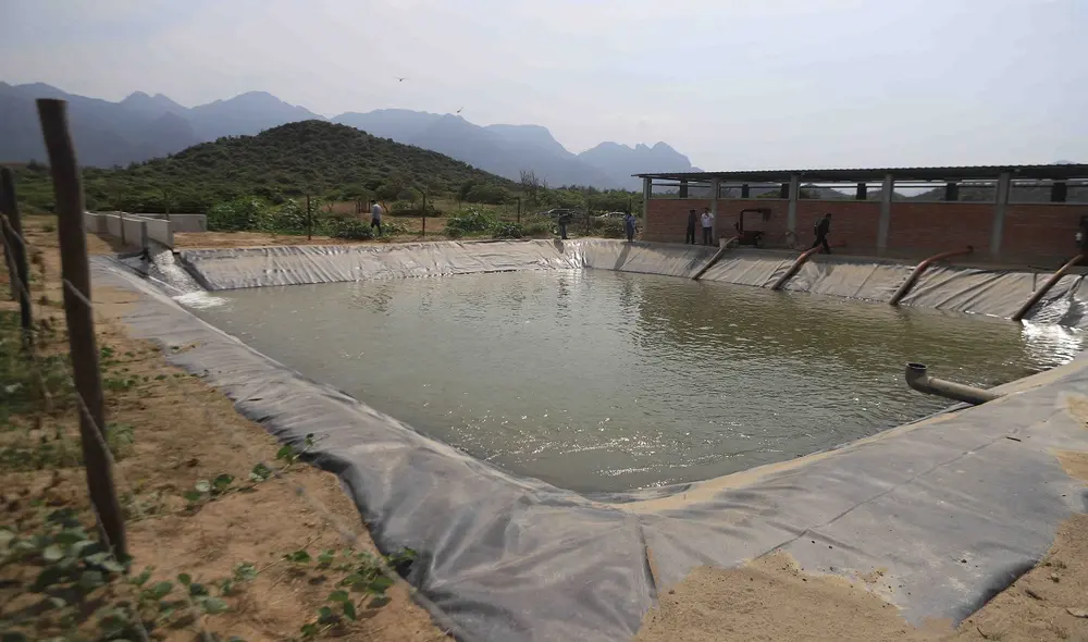 Hombres de campo del caserío Las Norias no tienen problemas con la dotación de agua. Asociación Cultivando también ha dado su apoyo con combustible. Foto: La República
