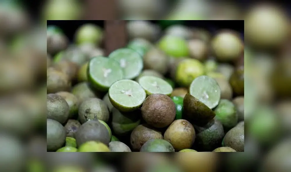 Limón ‘pavita’ está siendo comprado por dueños de restaurantes. Foto: N60 Limón ‘pavita’ está siendo comprado por dueños de restaurantes. Foto: N60