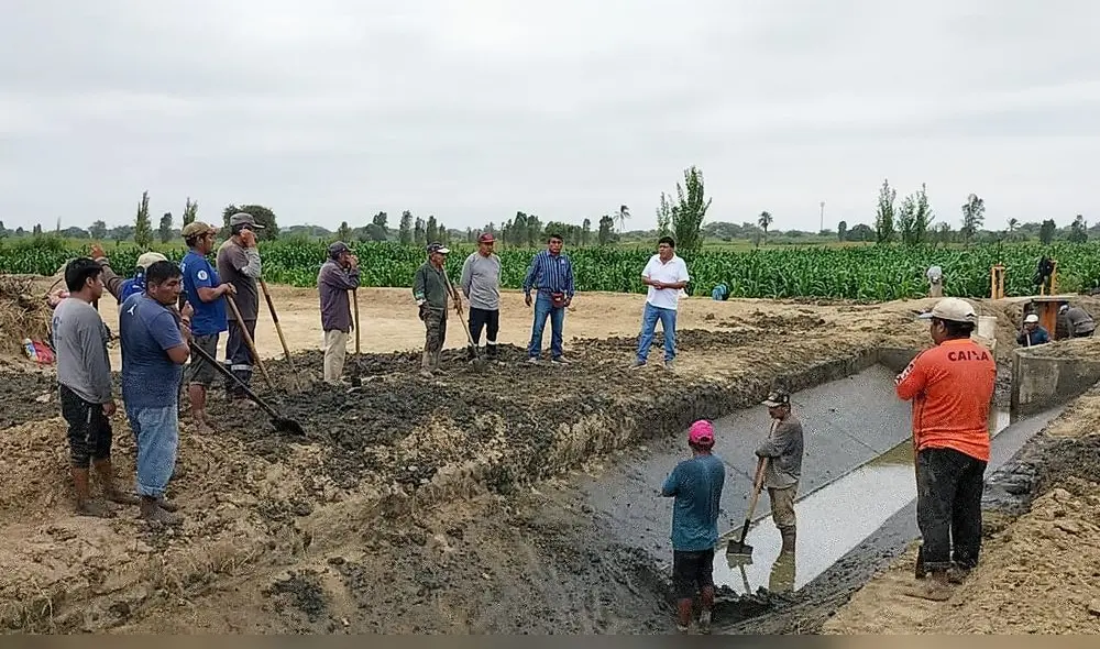 Ayudarán a reducir los efectos del Niño Global anunciado para fines de año. Foto: cortesía